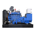 Green Power Liquid Cofred CA Tric Fase 400V 230V 380V Biogas 15kW 20kW 30kW 50kW CHP Generador Gas